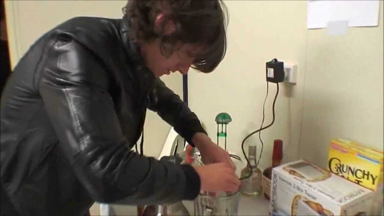 Margaritas and Arctic Monkeys [High Quality]