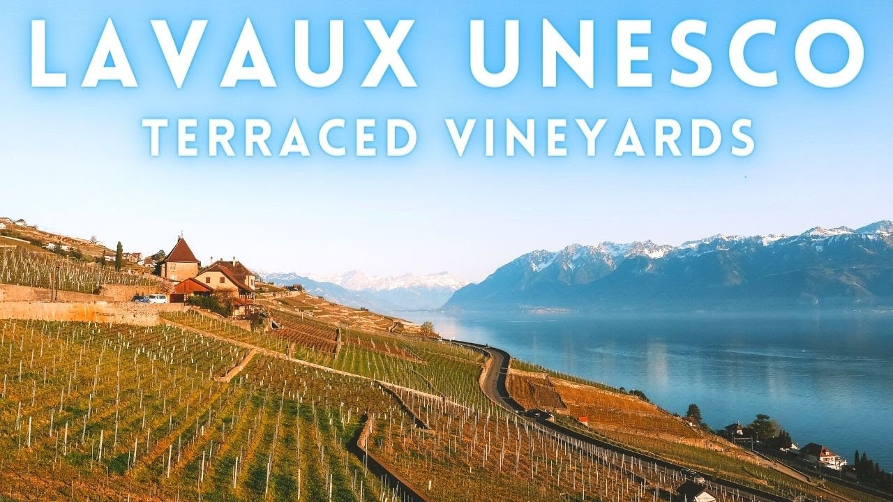 Lavaux Switzerland Drive | Terraced vineyards 4K