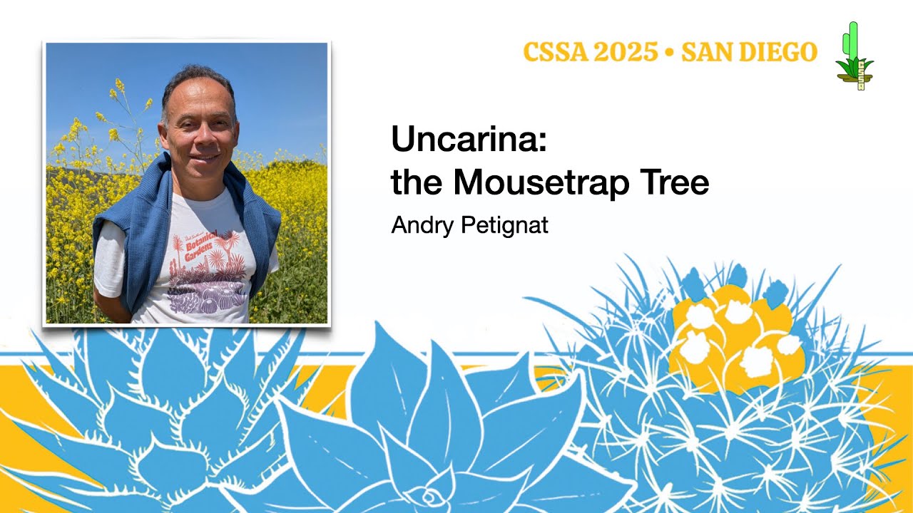 Uncarina: the Mousetrap Tree – Andry Petignat