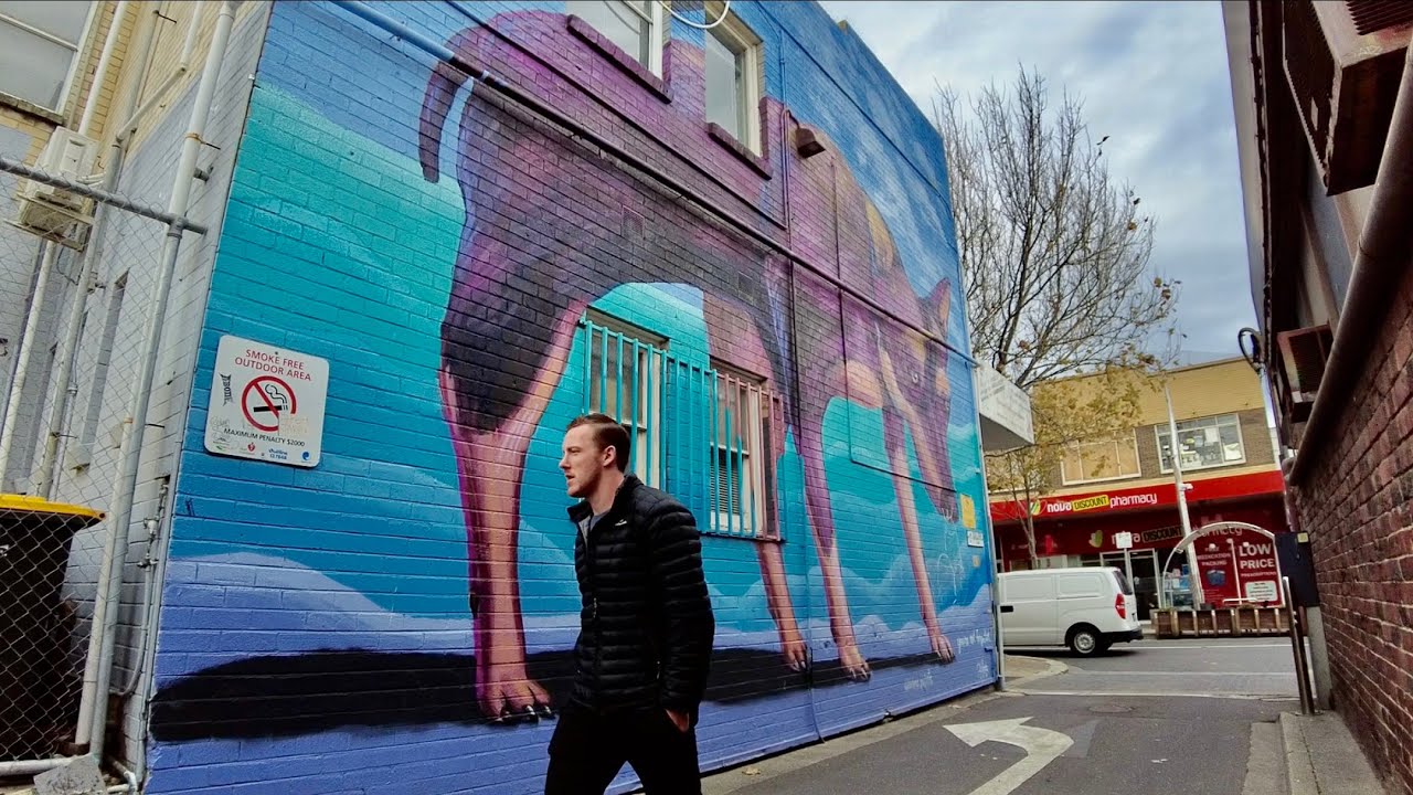 A Walk Around Frankston Suburb, Victoria, Australia - Frankston Culture | Street Art Walking Part 1