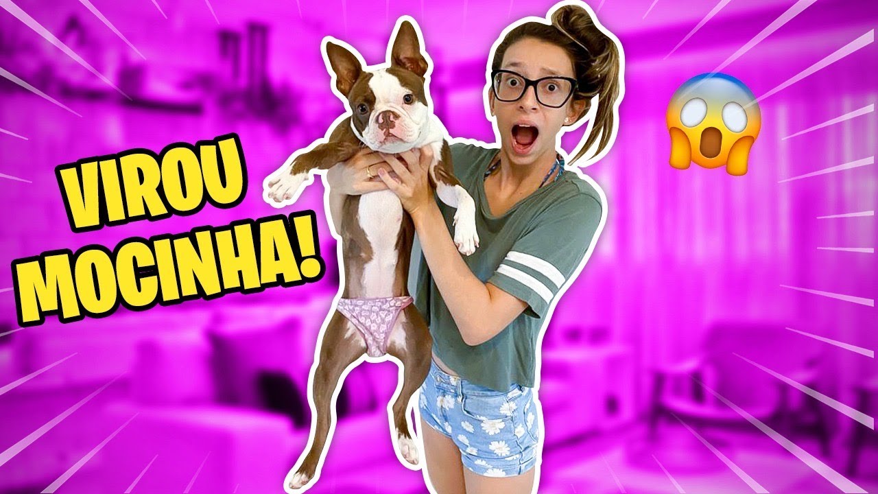NOSSA CACHORRINHA ZOE FICOU MOCINHA NA VIAGEM DE CARRO - DEU RUIM! DIÁRIO DE VIAGEM