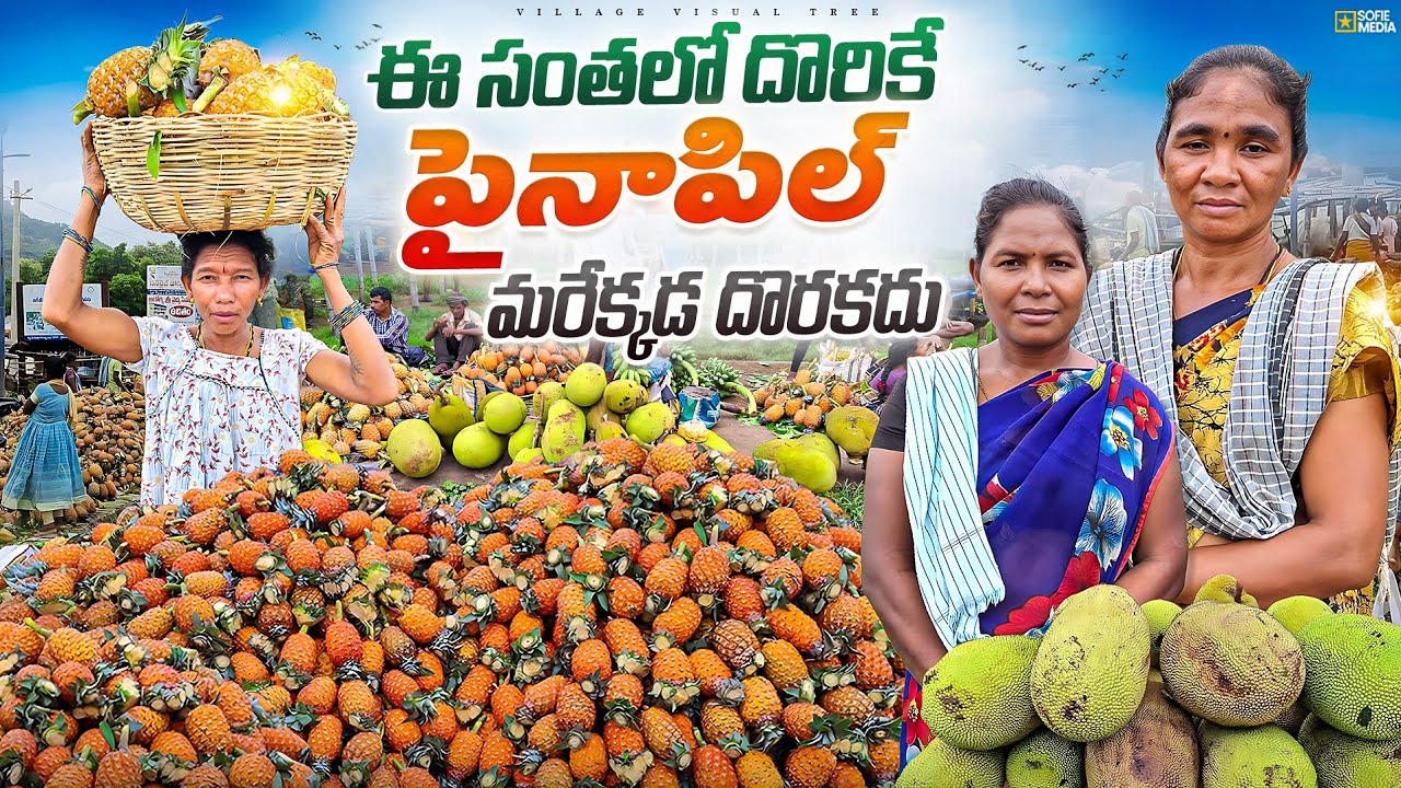 Seethampeta Tribal Market || seethampeta tribal market || seethampeta santha