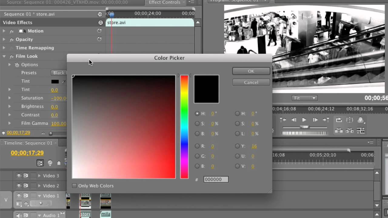 Creating a Cinematic Feel with Film Color and Adobe Premiere Pro