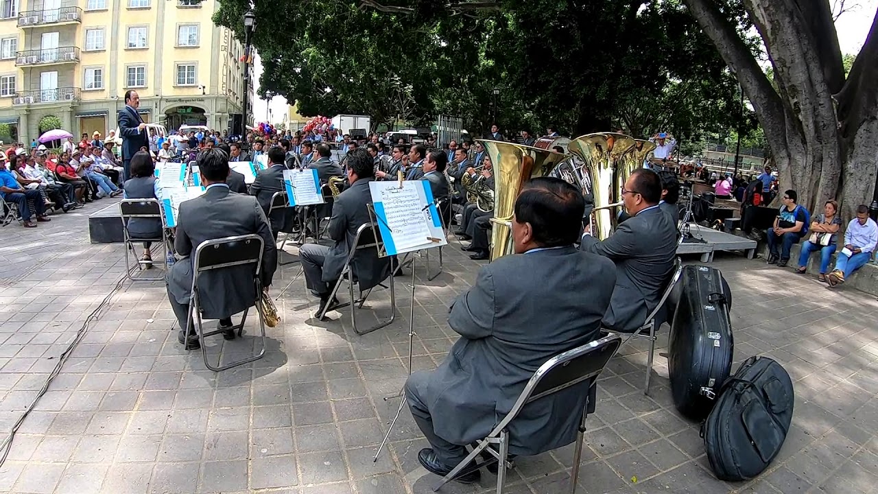 Banda De Musica Del Estado De Oaxaca 🎷🎺🎼🤵🤵🤵🤵Los Conciertos Bajo el Laurel