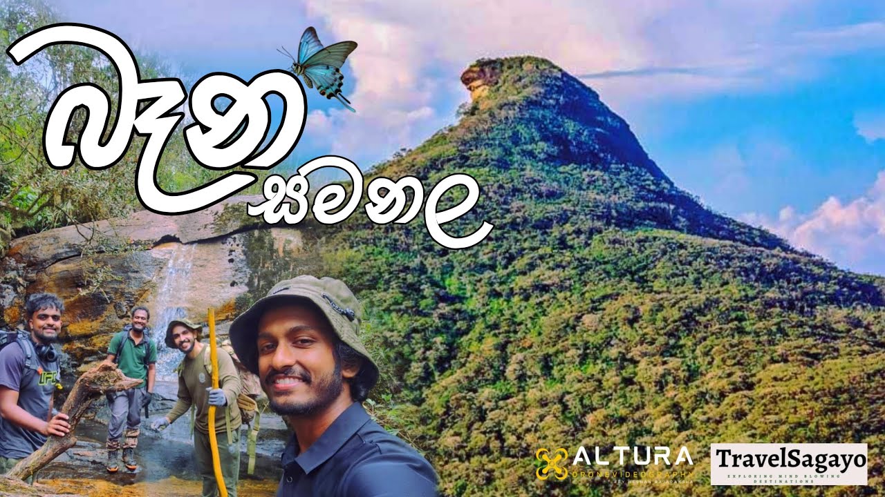 අඩවියේ දැවැන්තයෙක් බෑන සමනල තරණය Bana Samanala #adamspeak #srilanka #travel #hiking 