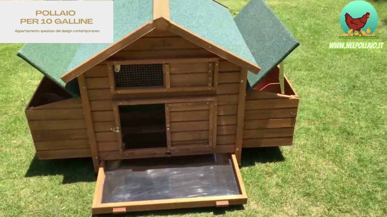 Pollaio per galline ovaiole - Prefabbricato in Legno per 10 Galline -  Economico