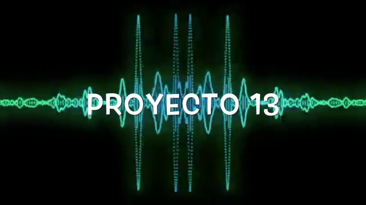 PROYECTO 13 DE LAS MAS PERRAS DEL JARIPEO