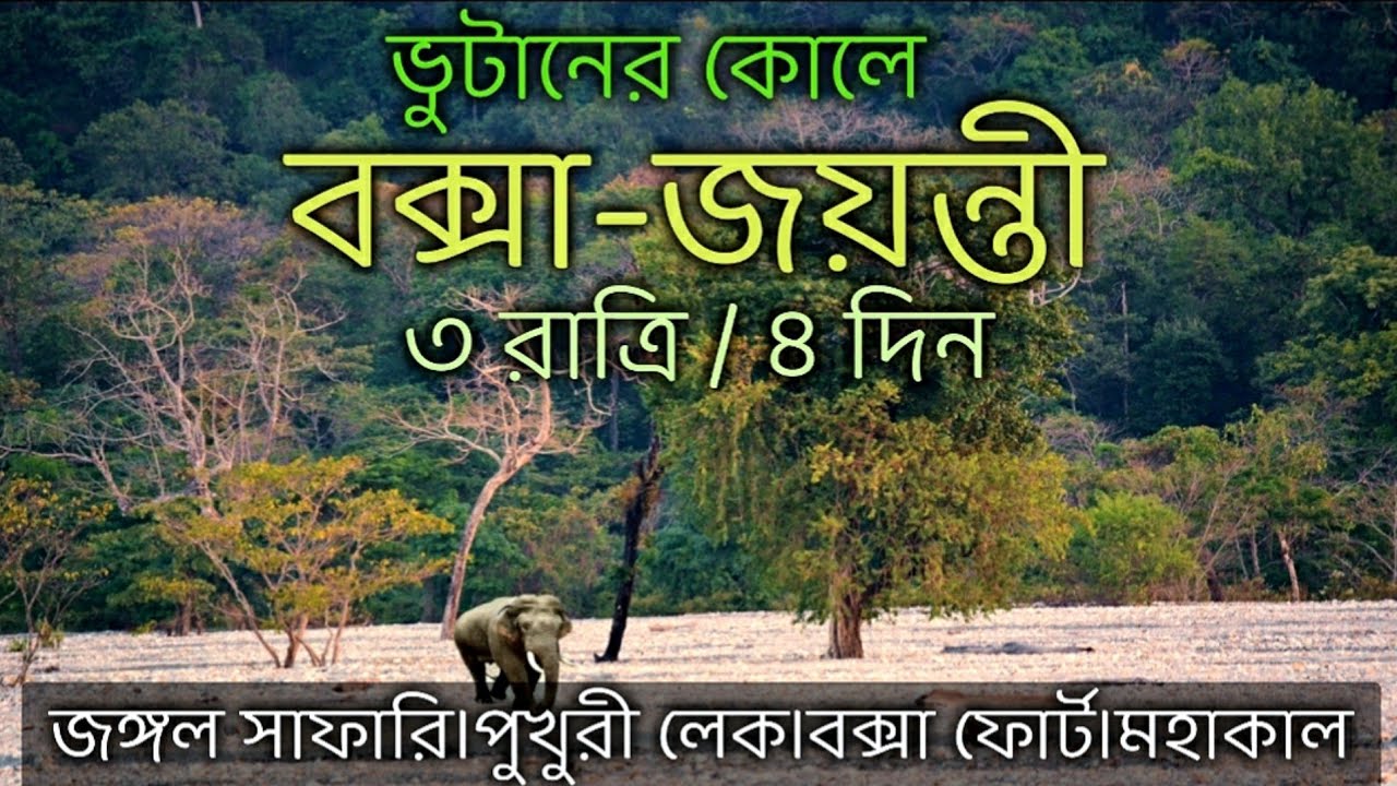 Buxa Jayanti Tour Plan||বক্সা জয়ন্তী ট্যুর গাইড||Buxa Tiger Reserve Jungle Safari