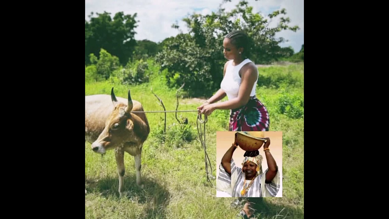 Dieyna #Kossam Mayo Diao Officiel 