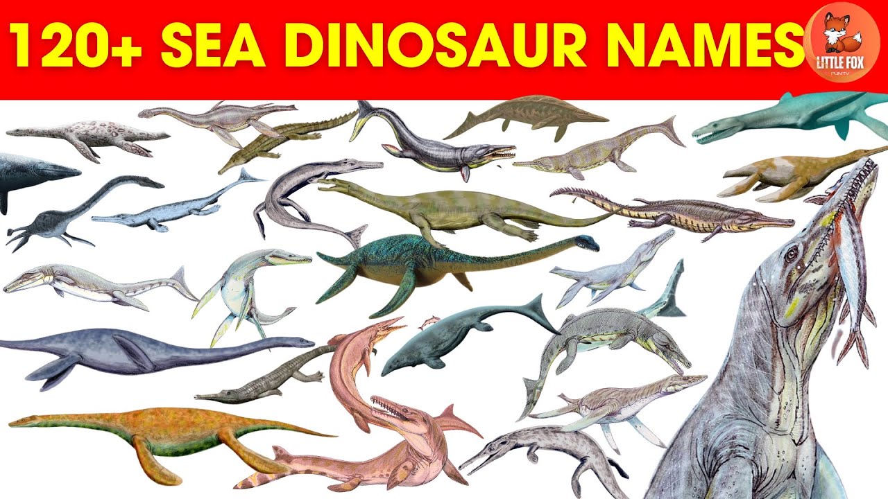 🦕Dinosaurs for kids! Learn 120+ 🐊Sea Dinosaur Names in English for Kids #kids #dinosaur #dinosaurs🦕