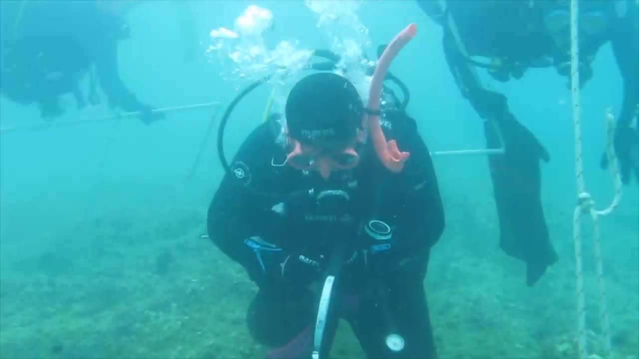 Laboratorio di Subacquea Scientifica 2025 - Transetto a 8 m