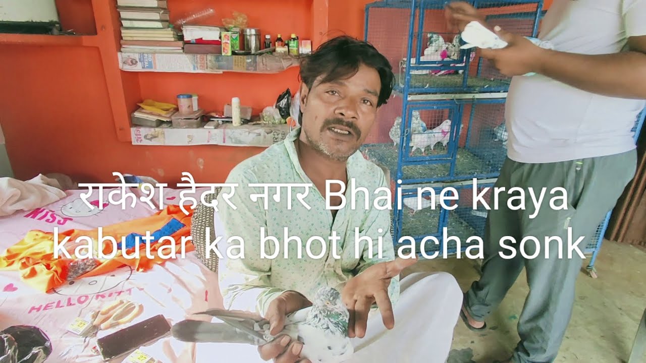 राकेश हैदर नगर यूपी जिला मुजफ्फरनगर भाई ने कराया कबूतरों का सोख star khiladi⭐