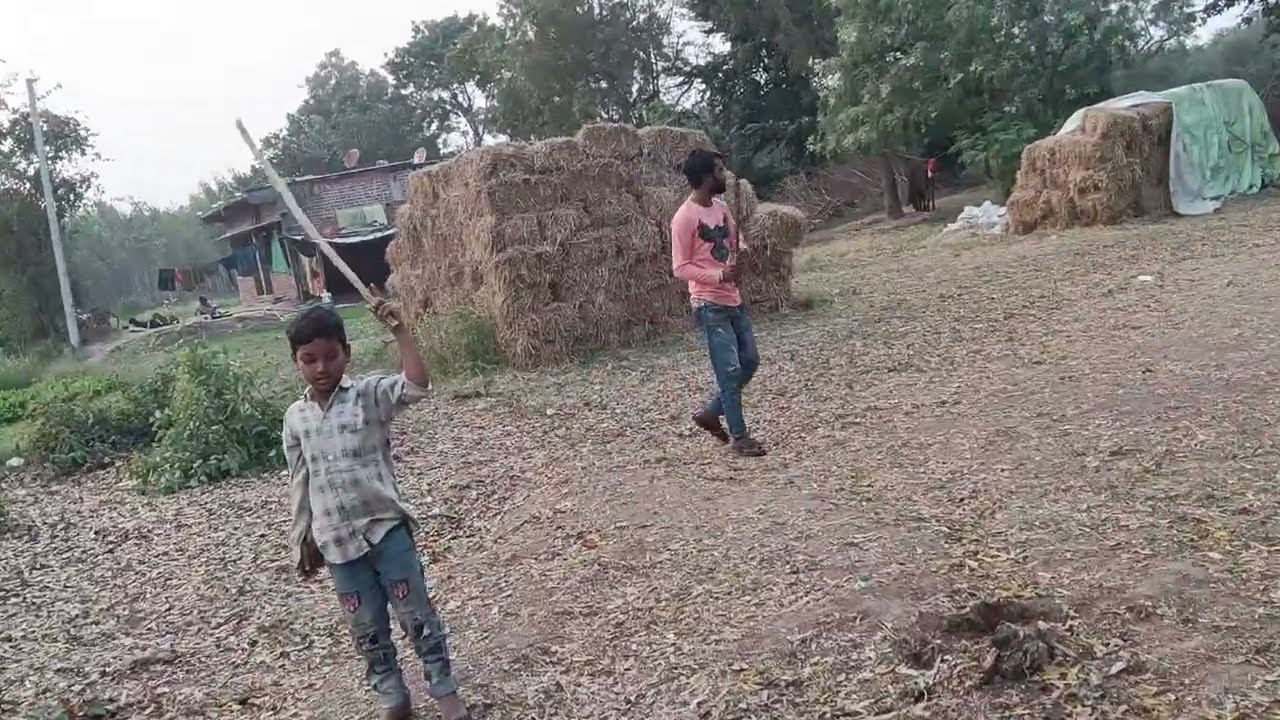 ગુજરાતી gig 
