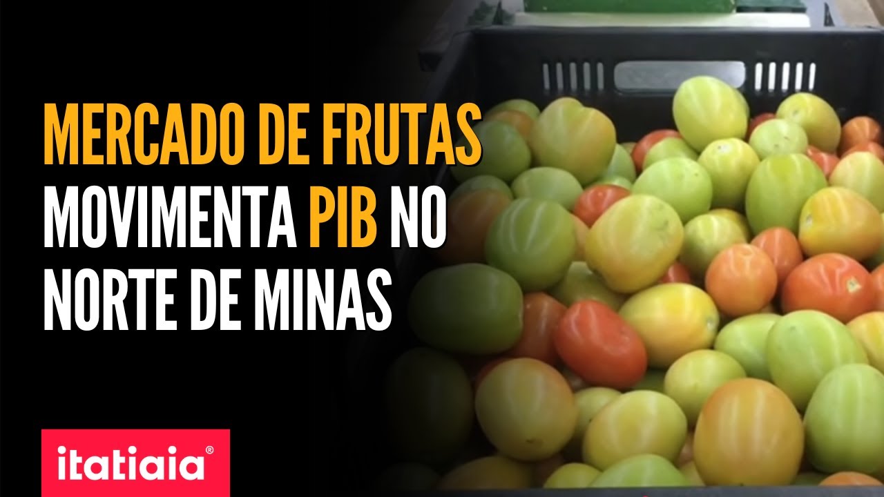 CONHE&Ccedil;A OS IMPACTOS DA PRODU&Ccedil;&Atilde;O DE FRUTAS NA ECONOMIA DE MINAS GERAIS