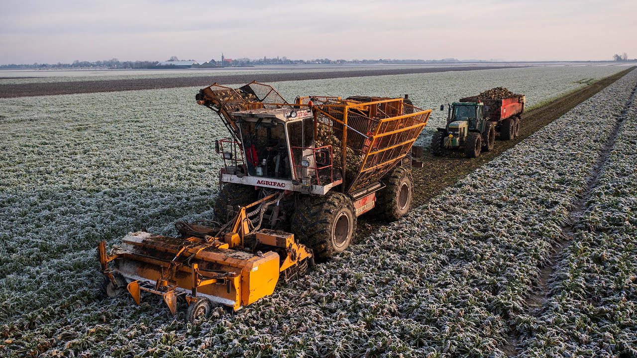 Frozen beet harvest with classic machinery | The last harvest | Agrifac ZA 215 EH
