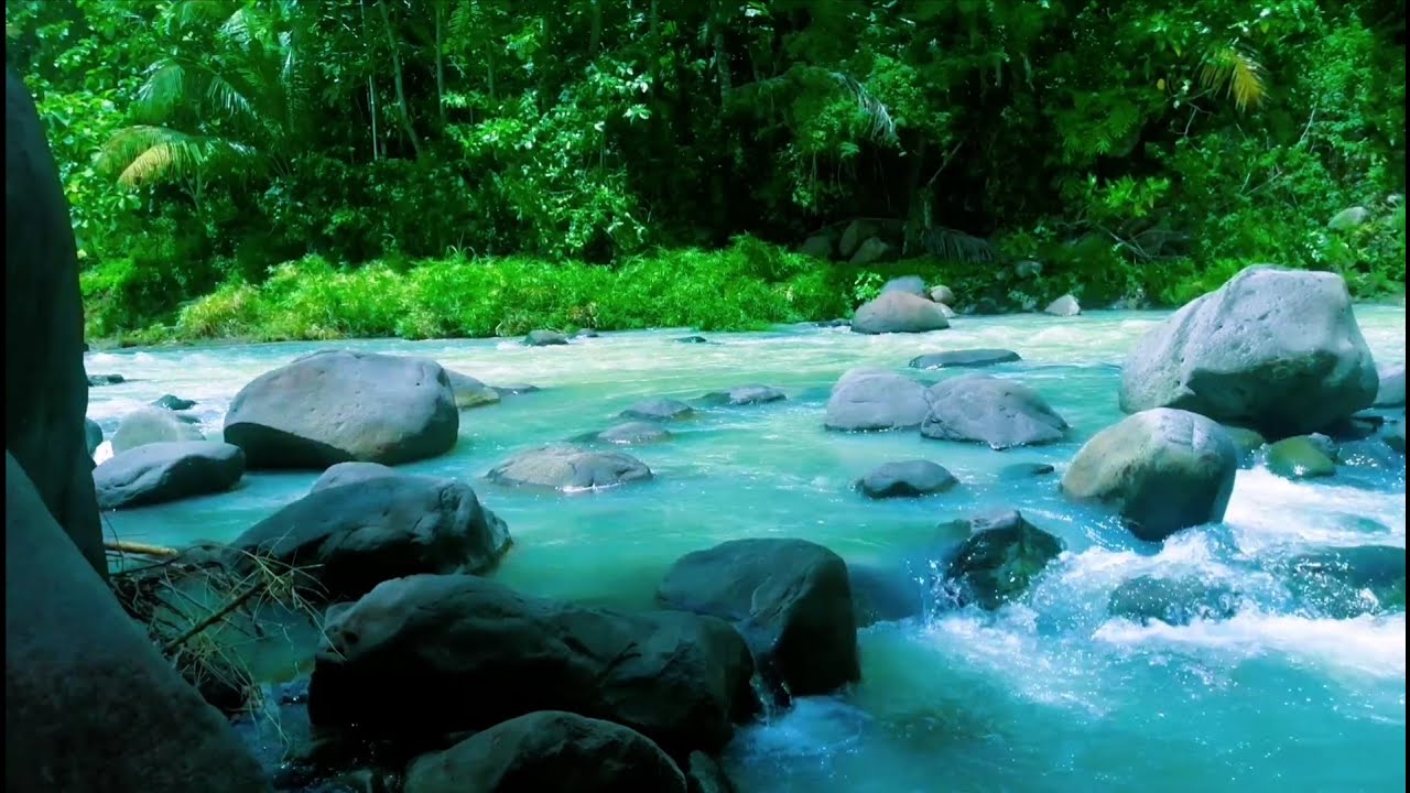 Tranquil River Ambience – Soft Stream and Forest Sounds for Deep Sleep and Inner Peace