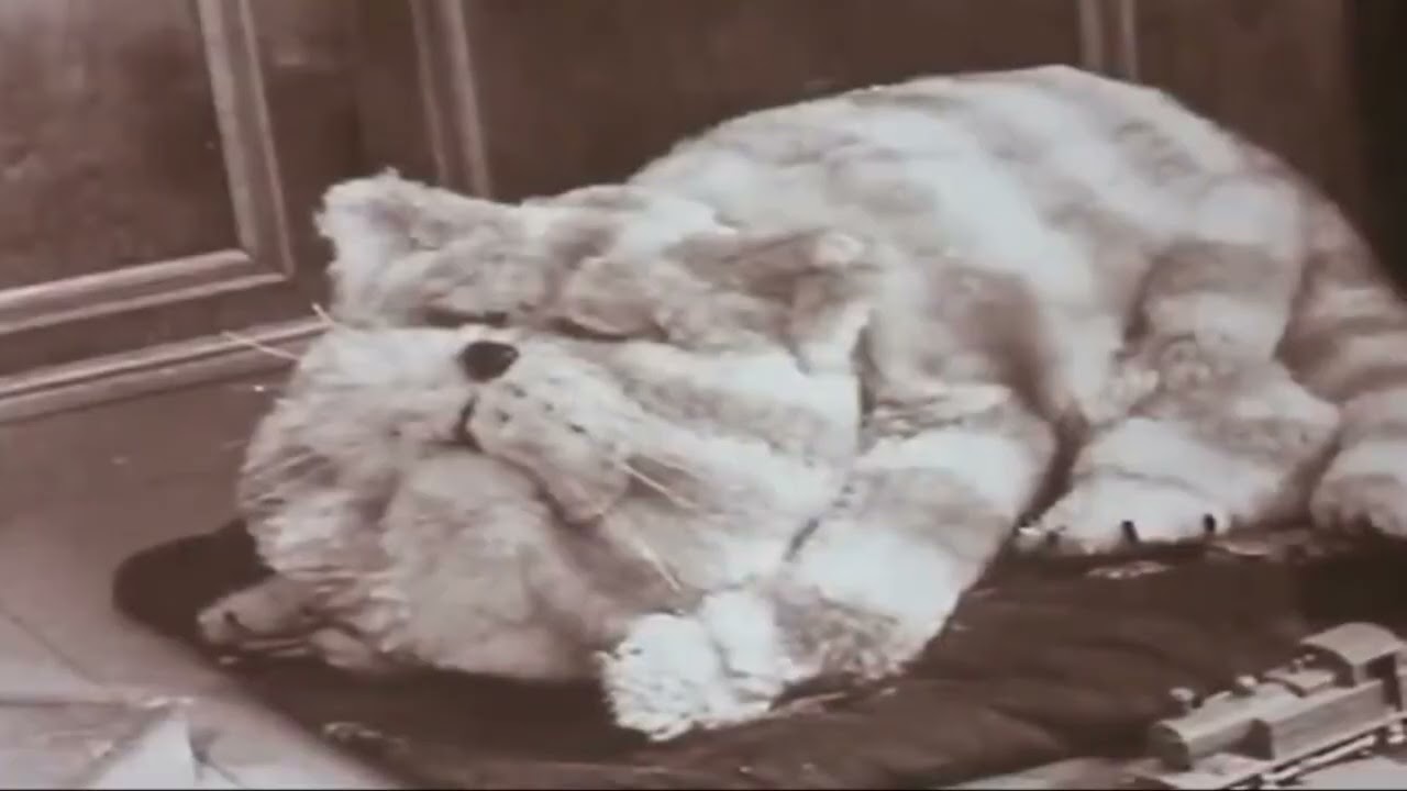 Bagpuss edit