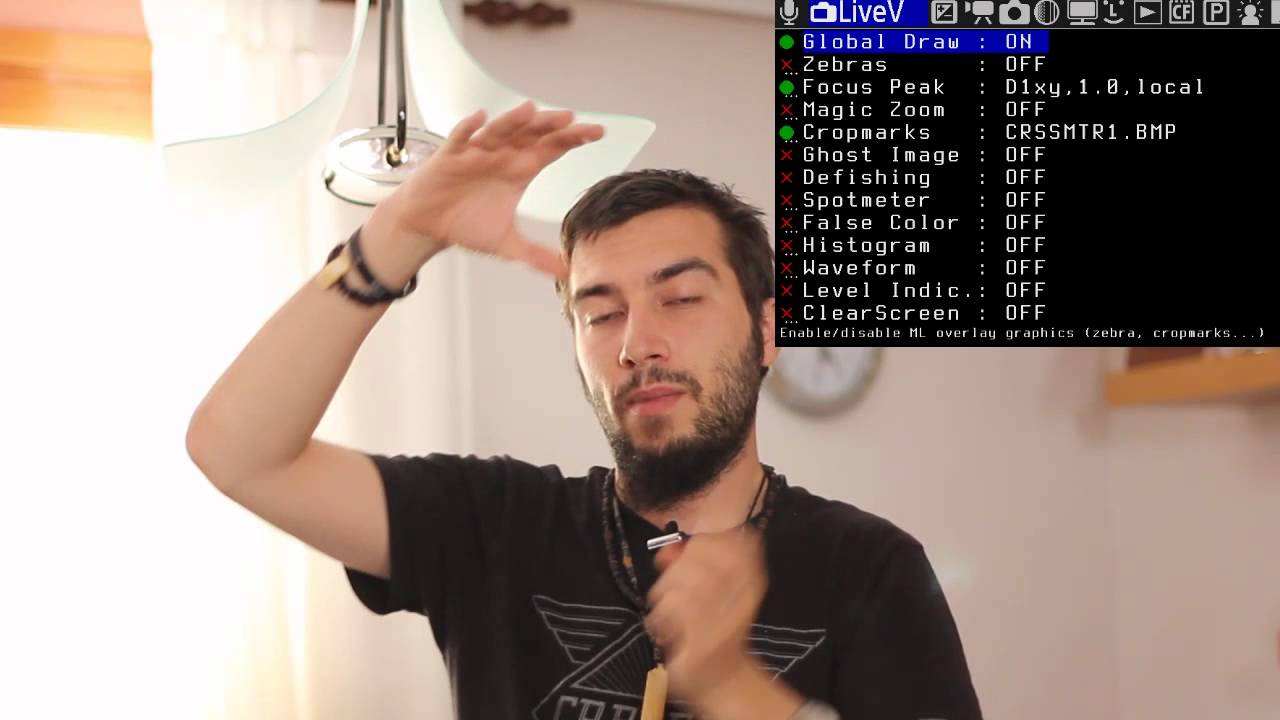 Julian Marinov - Magic lantern - LiveView