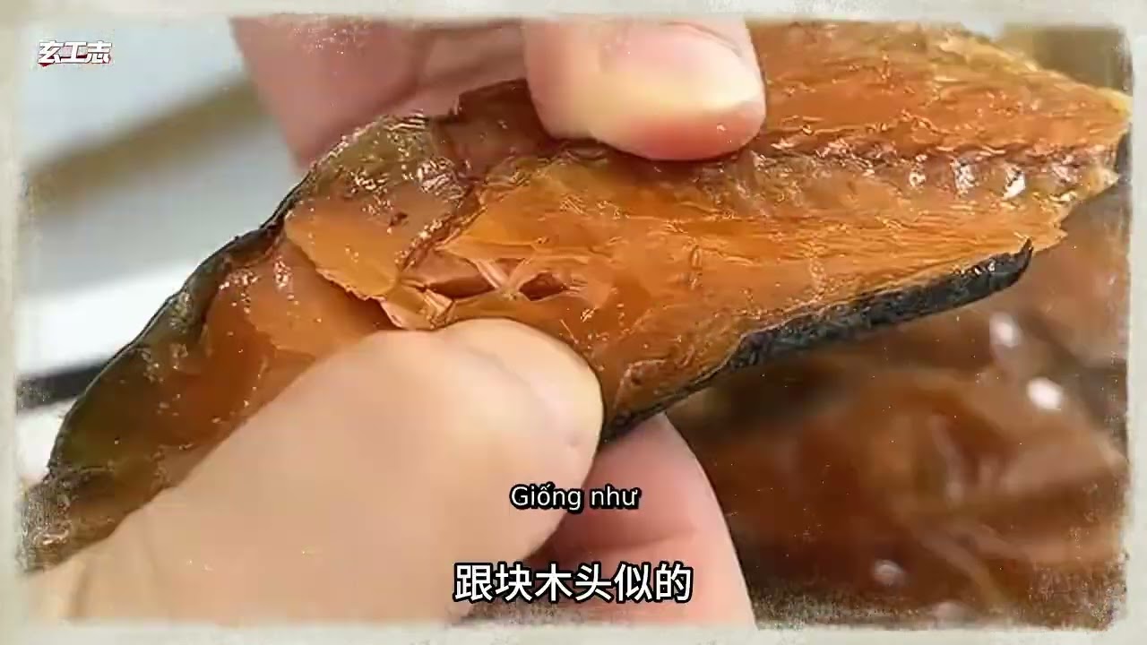 Cá hồi: Bí mật không ngờ trong triều đại Thanh!