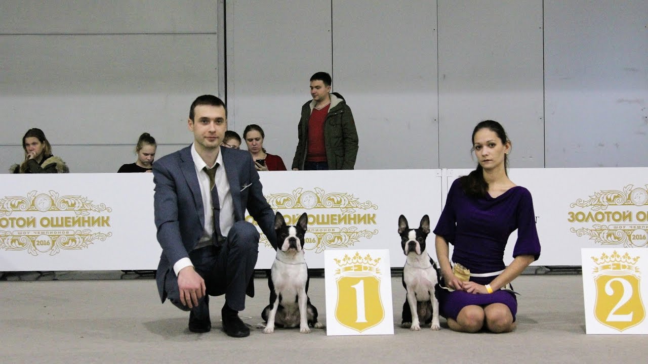 RKF Championship Show 