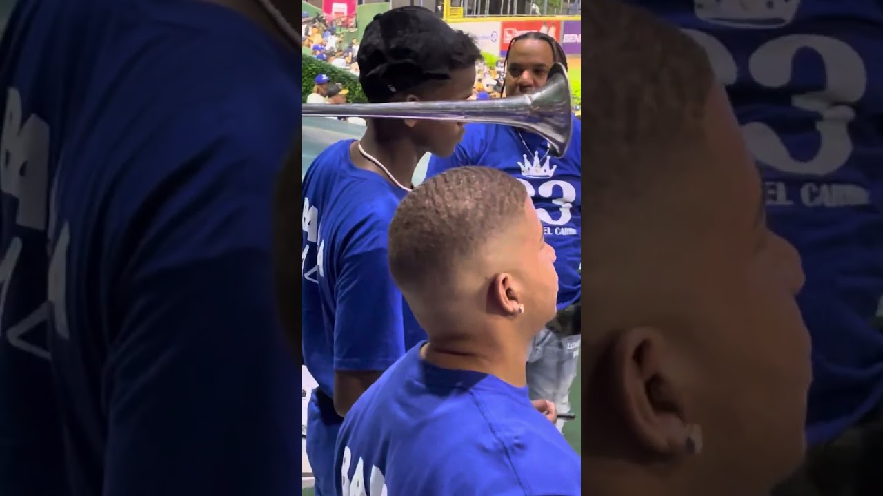La Banda Azul de los Tigres del Licey Ellos son los #. Uno en el Play Duro Duro la Manía Siiiiii