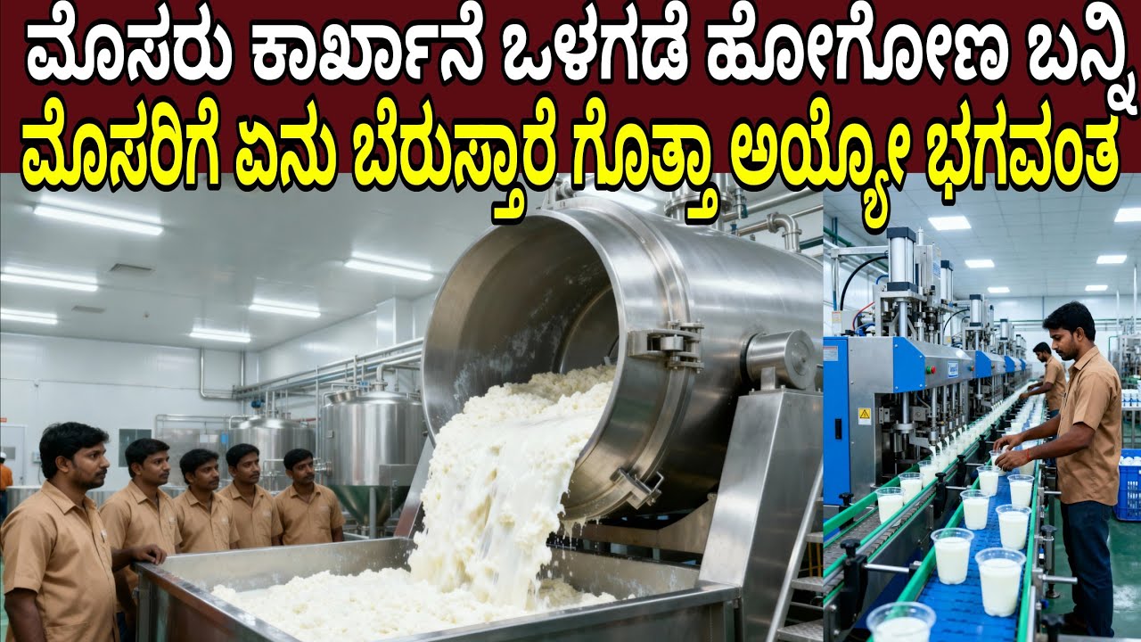 ಮೊಸರು ಕಾರ್ಖಾನೆ ಒಳಗಡೆ ಹೋಗೋಣ ಬನ್ನಿ ಮೊಸರಿಗೆ ಏನು ಬೆರುಸ್ತಾರೆ ಗೊತ್ತಾ ಅಯ್ಯೋ ಭಗವಂತ | Inside Curd Factory