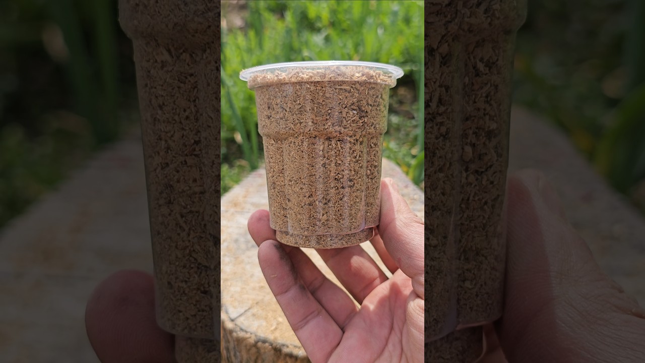 🔥 Real Bushcraft Skills: Making a Waterproof Firestarter with Wood Shavings & Candle Wax