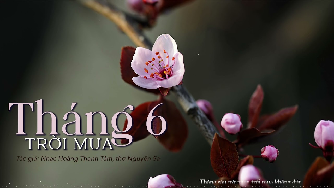 Tháng 6 Trời Mưa - Vũ Khanh (nhạc: Hoàng Thanh Tâm - thơ: Nguyên Sa)