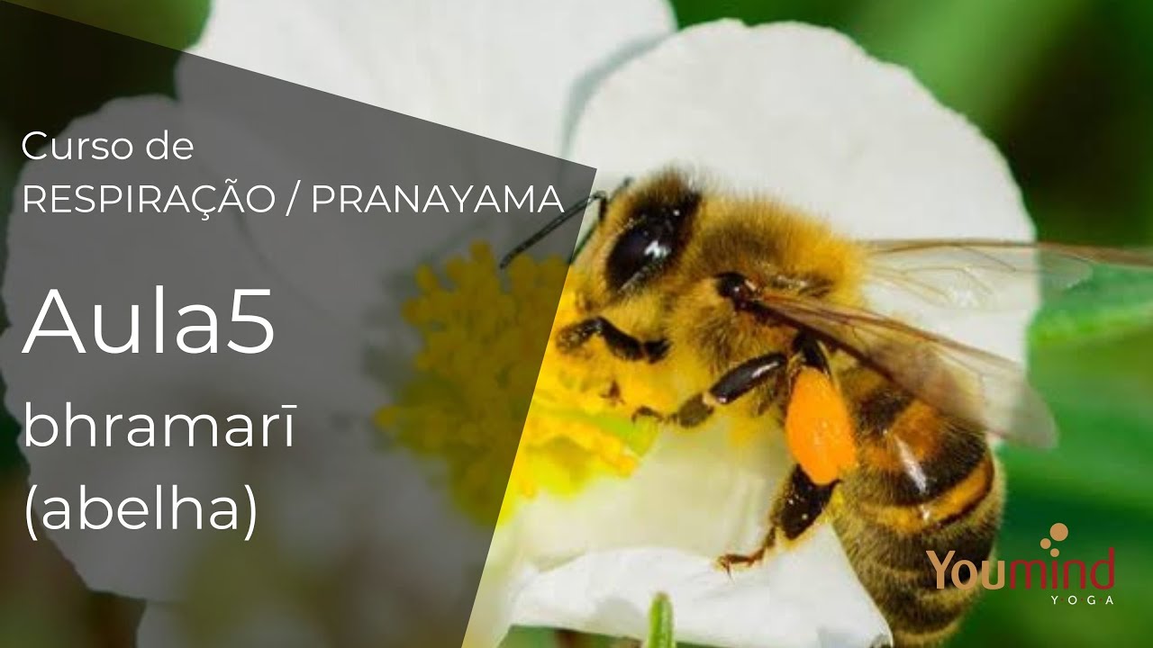 CURSO DE RESPIRAÇÃO. AULA 5: BHRAMARI