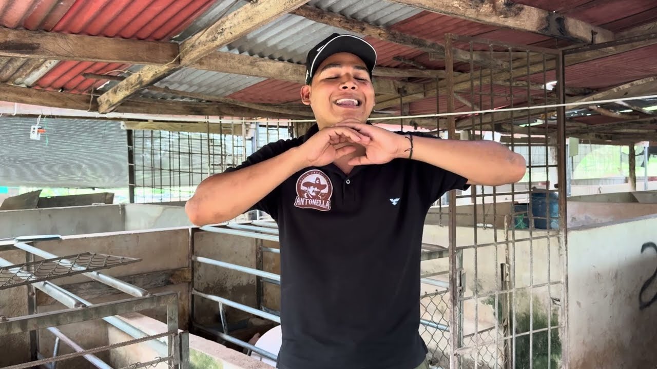 SI QUIERES TENER PORCICULTURA Y NO SABES CÓMO COMENZAR, MIRA ESTO ANTES 🐷 | GUÍA REAL DESDE GRANJA