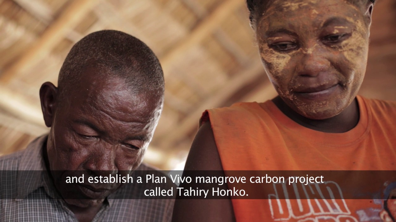 Tahiry Honko: A Community Mangrove Carbon Project