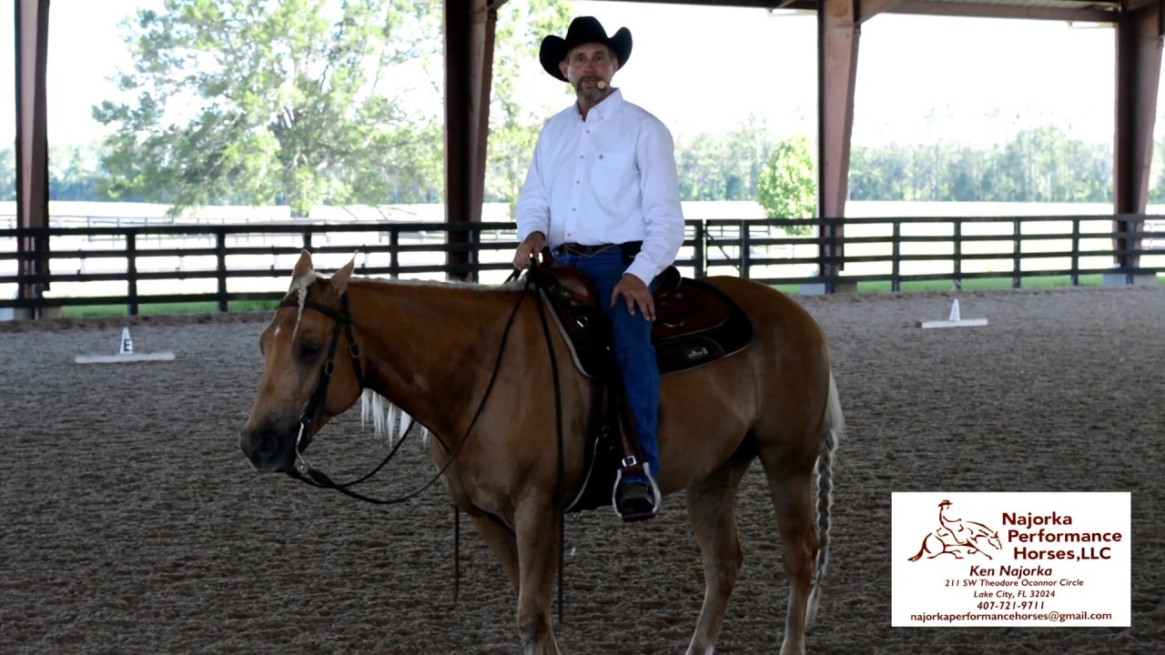 Western Dressage test Level 1 test 1