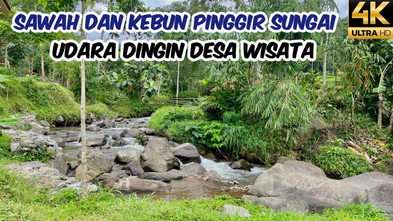 Jual Tanah Darat dan Sawah Pinggir Sungai Banyak Air Mengalir Udara Dingin 5489 m2 SHM Rp 950 Juta