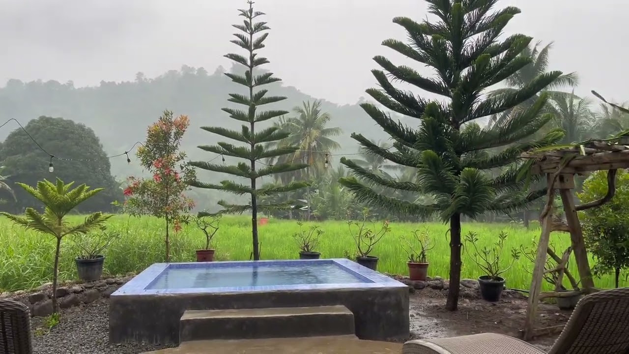Ma appreciate mo talaga ang Probinsiya pag ganitong panahon | Ma ulan na araw sa Bukid | Argiel TV