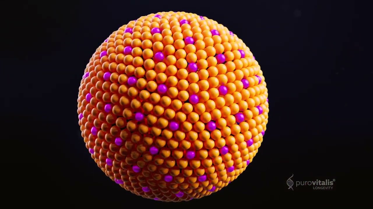 What is Liposomal Technology? Understanding Its Impact on Supplement Bioavailability