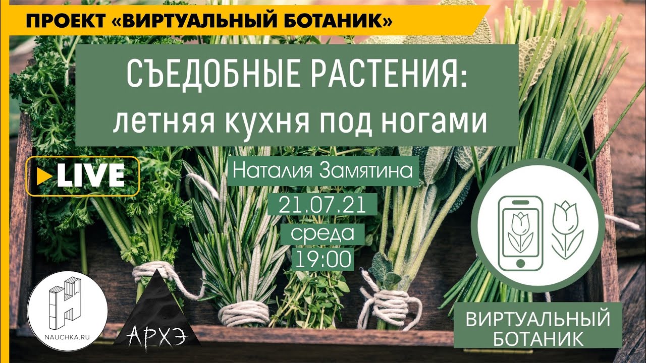 Лекция 