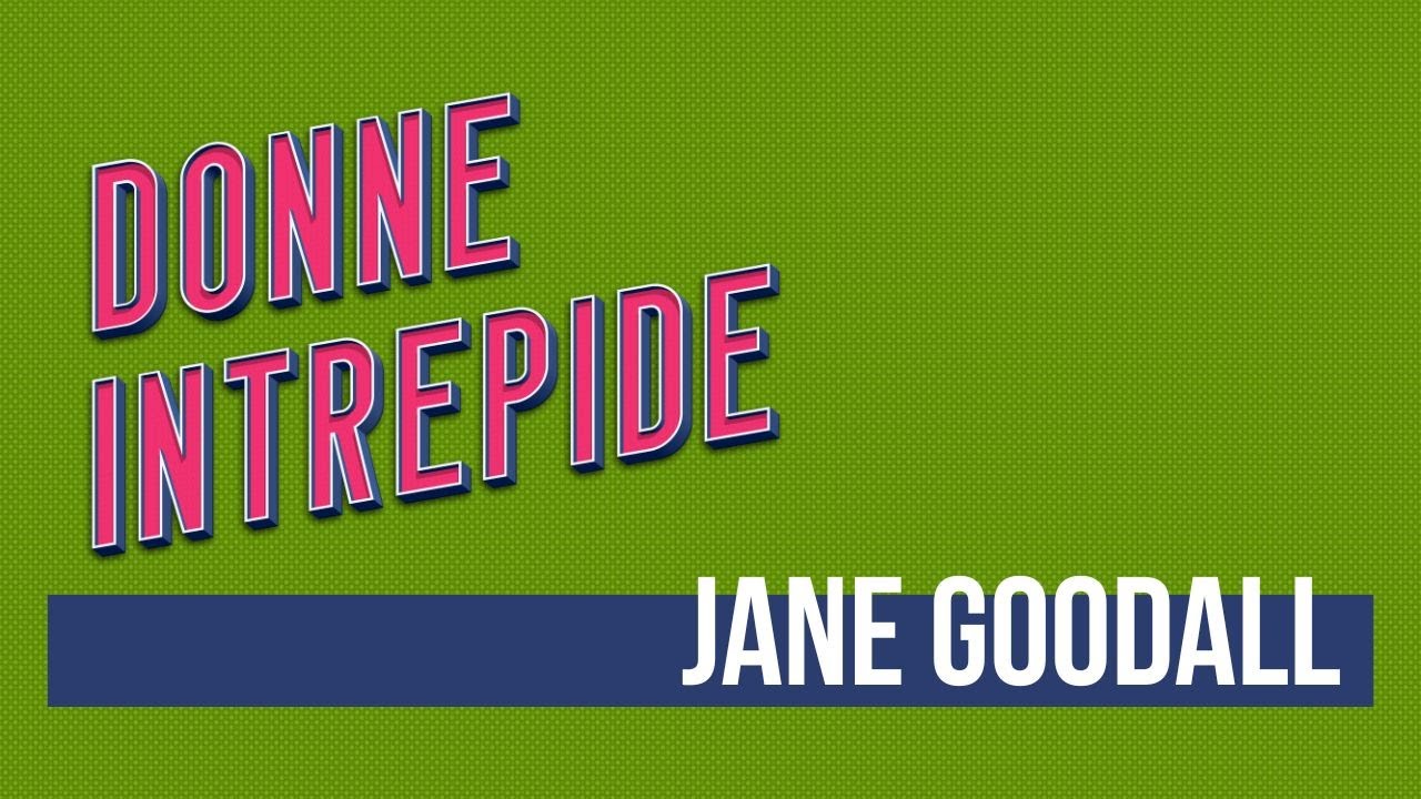 DI 041 -  Jane Goodall