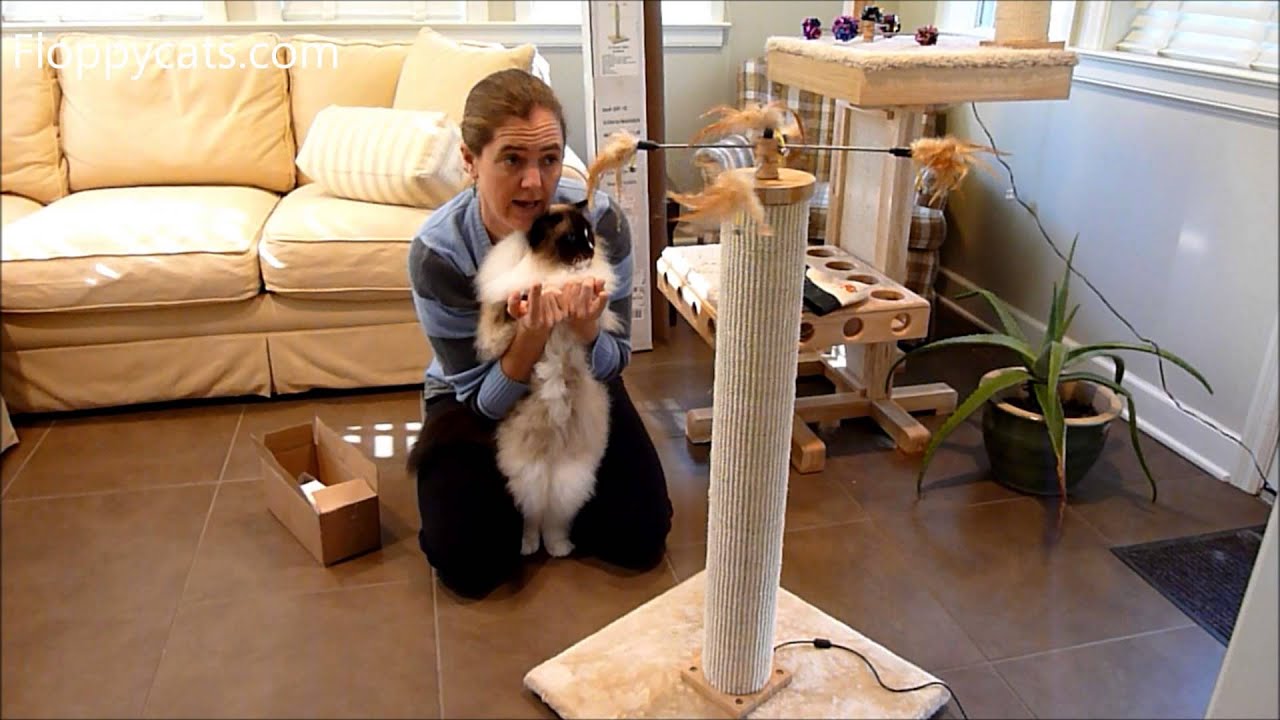 Ragdoll Cats Receive Cat Power Tower Scratcher for Review - ねこ - ラグドール - Floppycats
