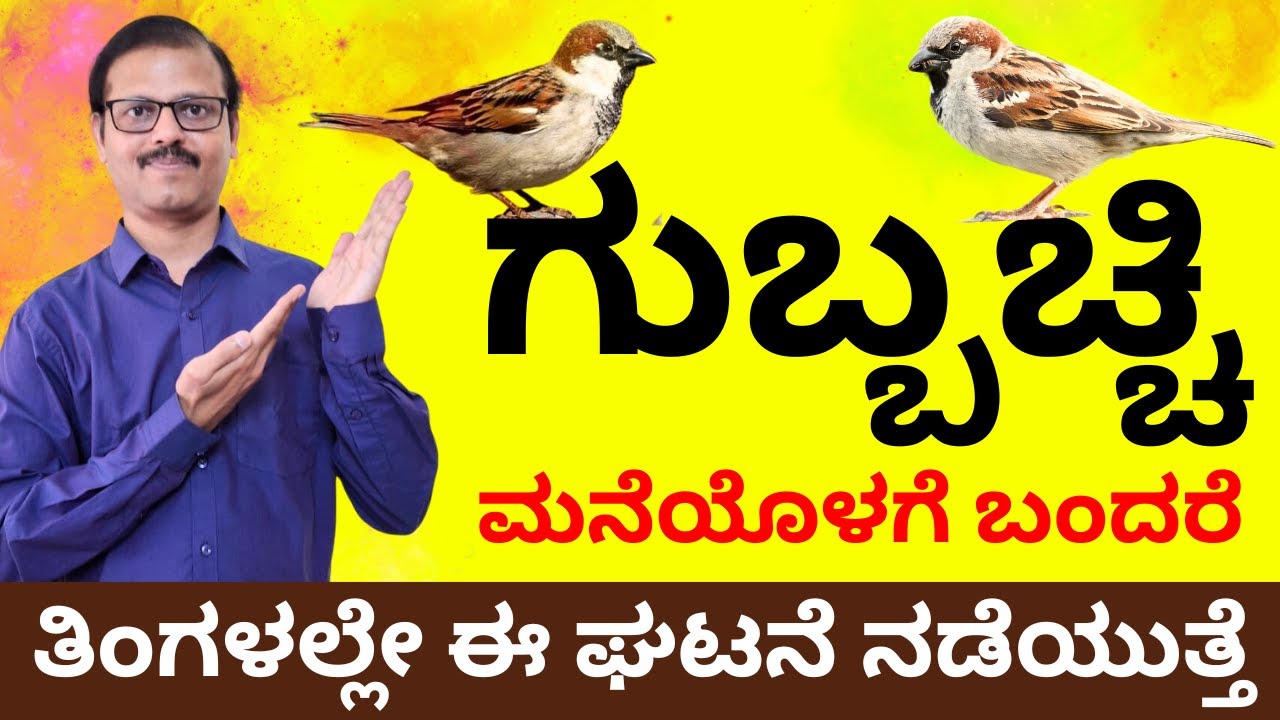 ಗುಬ್ಬಚ್ಚಿ ಮನೆಗೆ ಬಂದರೆ ಒಂದು ತಿಂಗಳಲ್ಲೇ ನಿಮ್ಮ ಜೀವನದಲ್ಲಿ ಈ ಘಟನೆ ನಡೆಯುತ್ತೆ sparrow in astrology