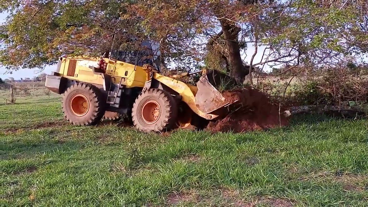 Pa carregadeira WA200 arrancando arvore