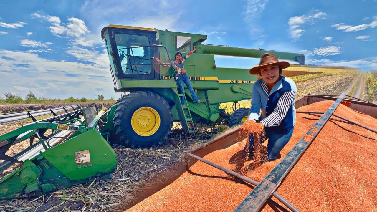 TRILLA DE SORGO EN TAMAULIPAS | ISELA MANEJA LA TRILLADORA POR PRIMERA VEZ | ESTE FUE EL RENDIMIENTO