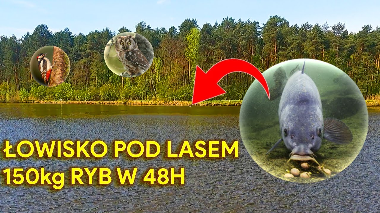 NIE WIERZE ile brań!!! Majówka 2023  dzień 1