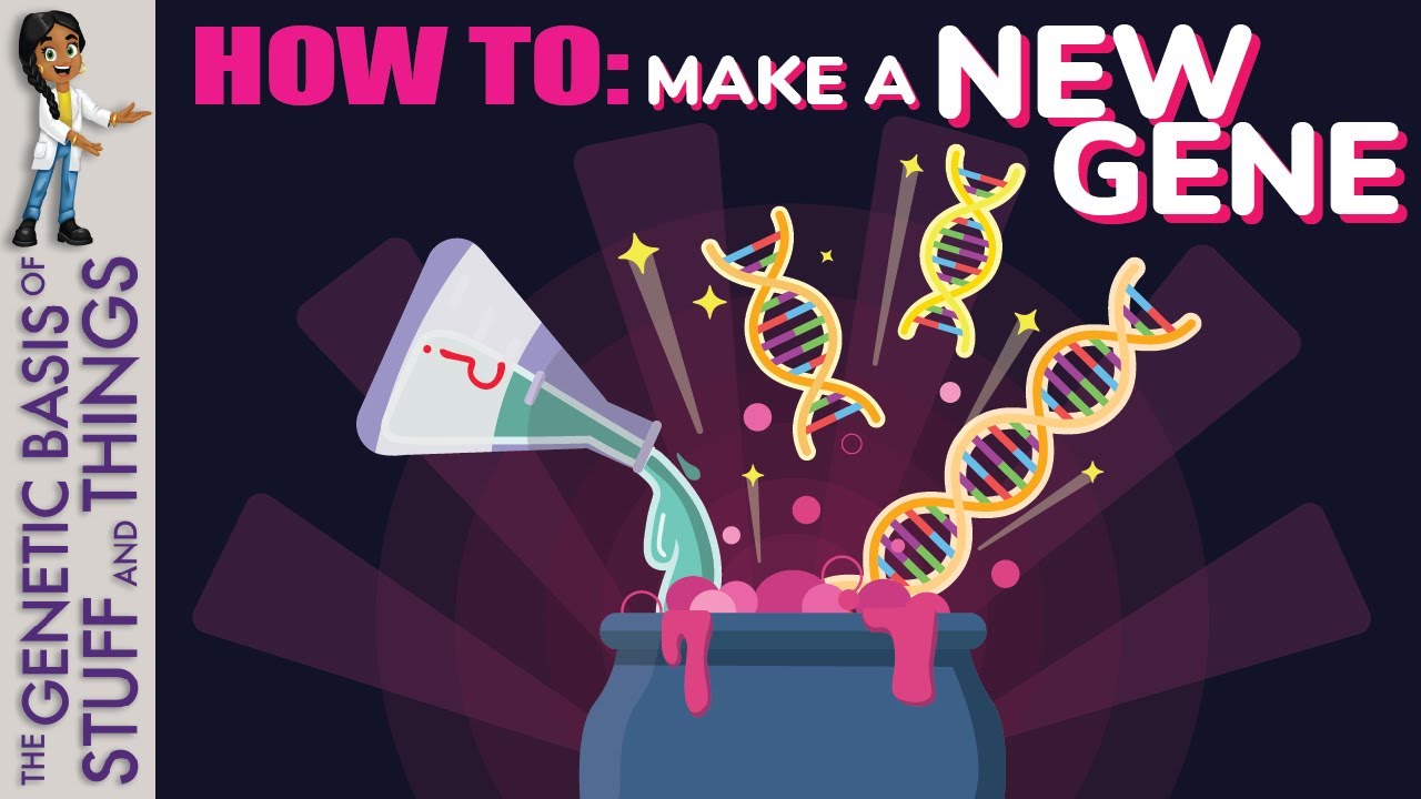 Gene duplication: The formation of new genes&hellip; genes&hellip; genes