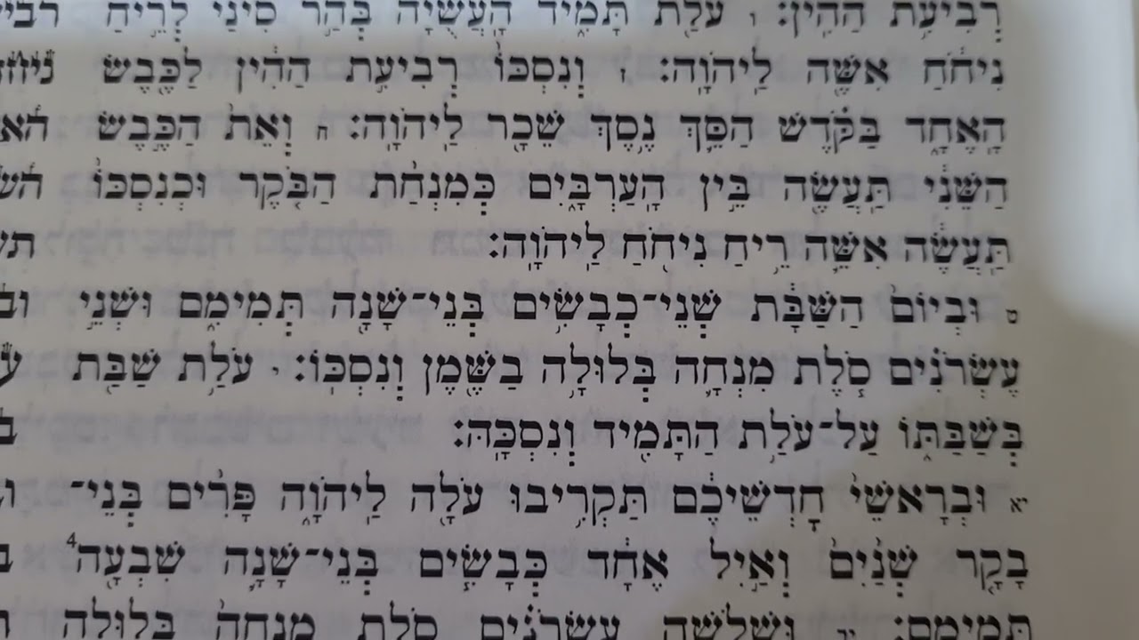 קריאת פרשה לראש חודש -ספר  במדבר פרק כ
