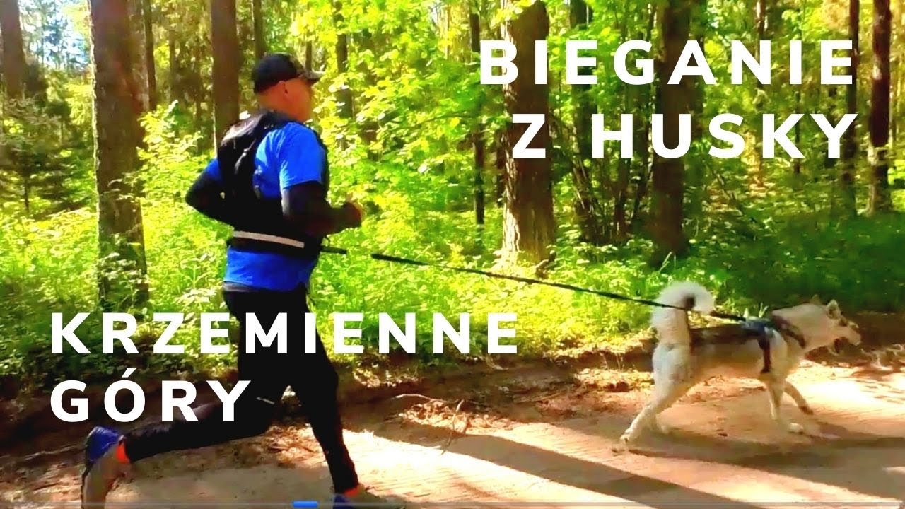 Bieganie z psem husky - Krzemienne Góry pod Supraślem