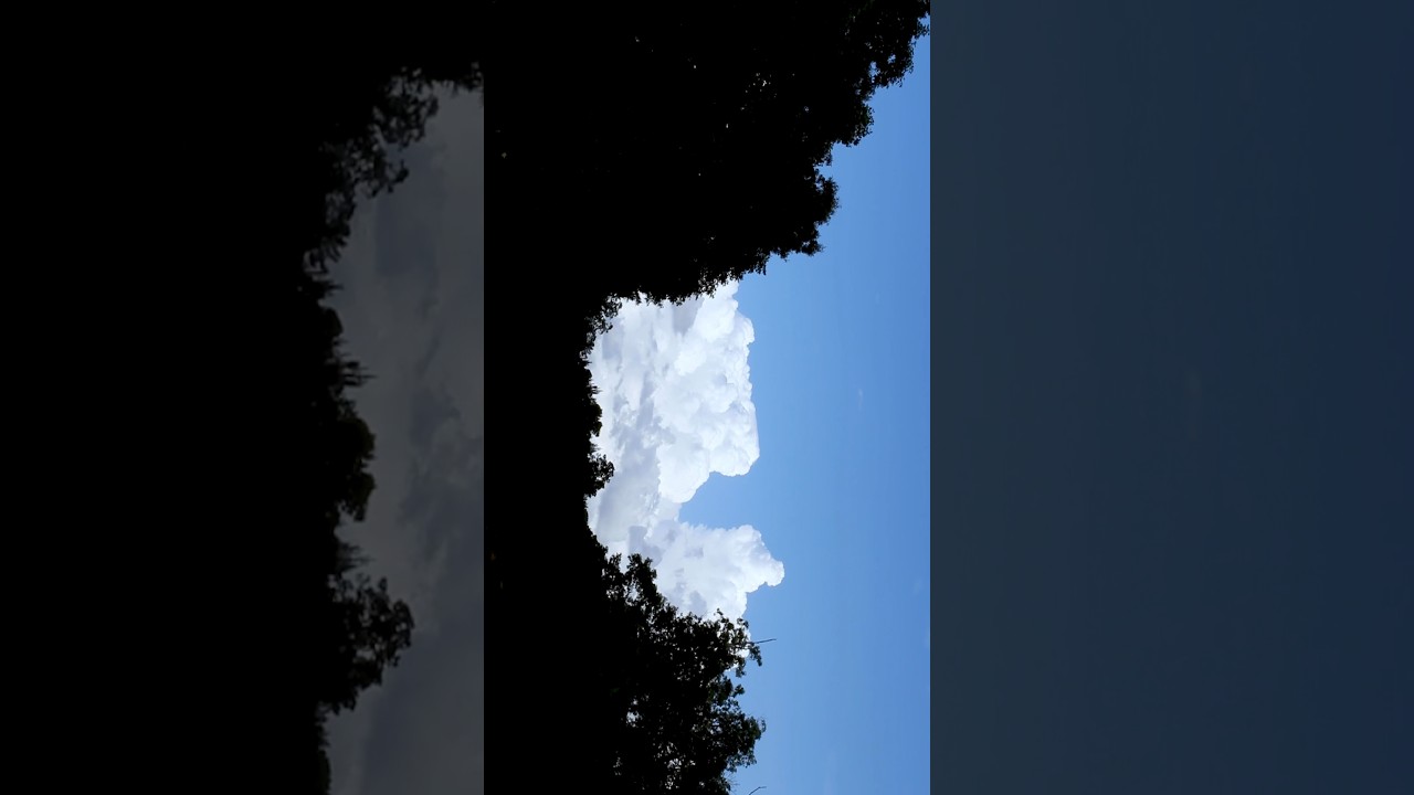 Chill Divine Clouds🕊️✨ #satisfying #chill #aesthetic #relaxing #chillsunrisers #shorts #clouds #fy