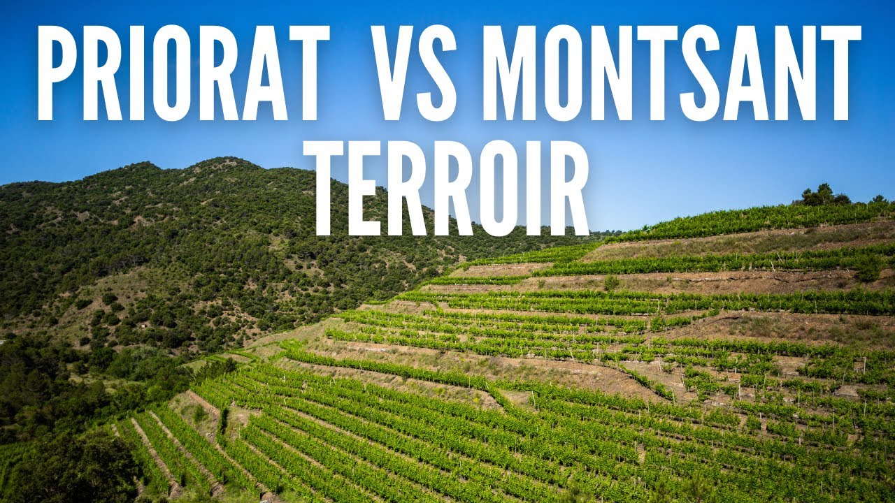 Differences between Priorat DOQ & Montsant DO | Wine Ghosts Podcast Ep. 48.