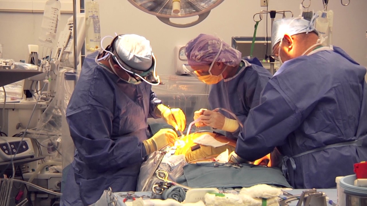 Minimally Invasive Mitral Valve Surgery