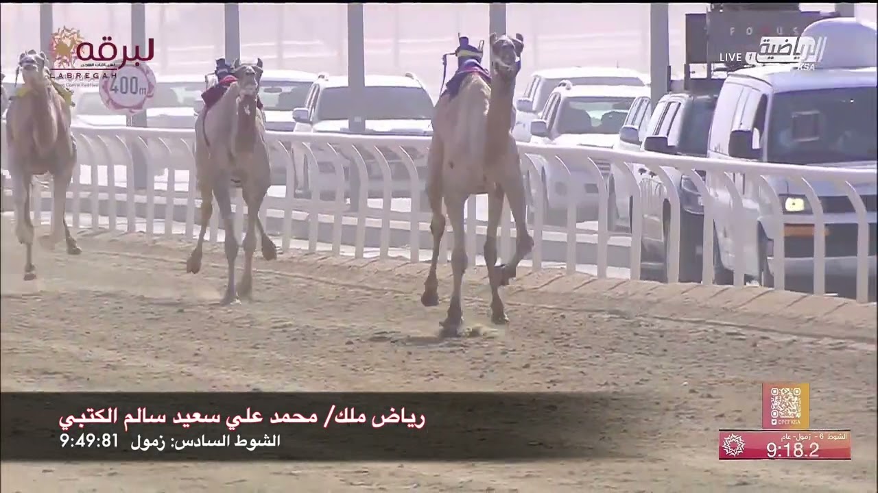 ملخص منافسات الحيل والزمول (الدور النهائي) بمهرجان ولي عهد المملكة العربية السعودية - صباح 3-9-2022