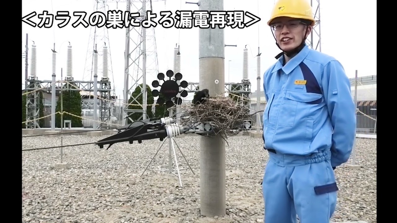 カラスの巣でなぜ停電するの？漏電再現やってみた！～新潟支社～